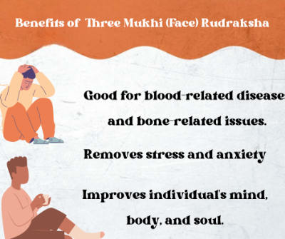 Benefits Of Rudraksha : Three Mukhi (Face) Rudraksha